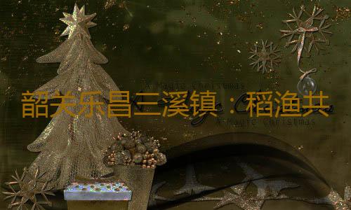 韶关乐昌三溪镇:稻渔共生大米喜获丰收 绿色品牌引领乡村振兴